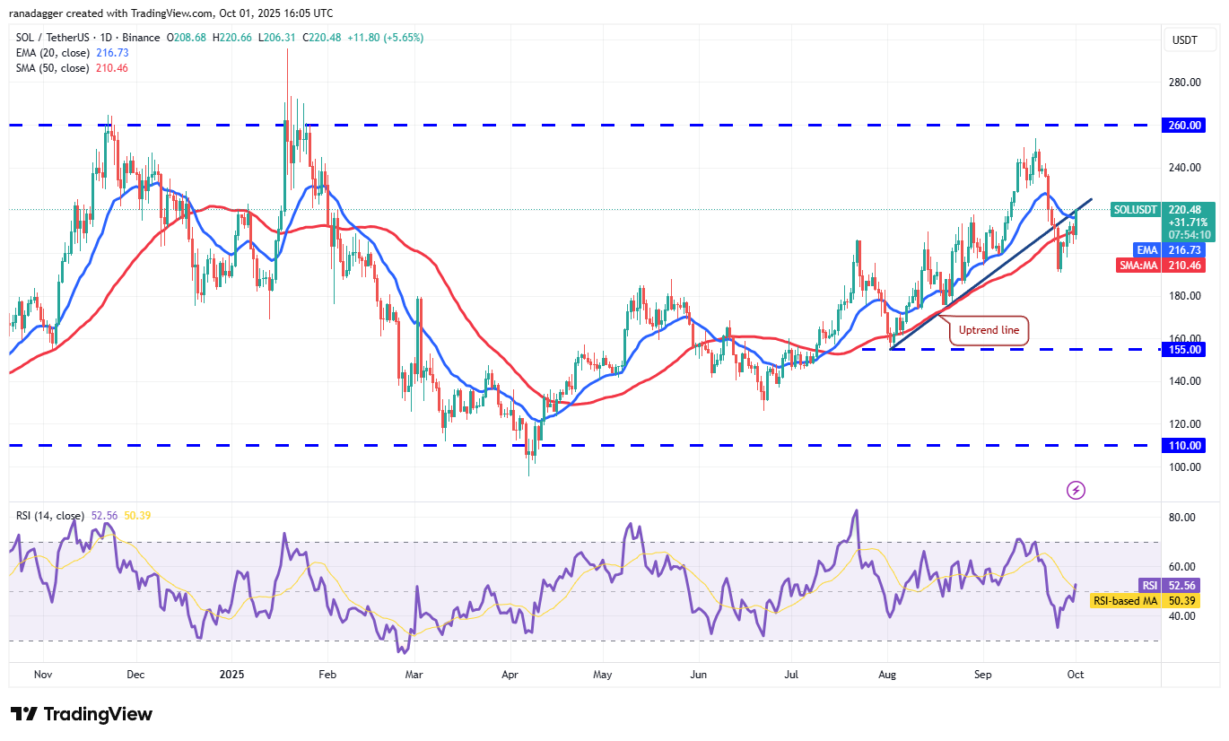 Dogecoin, Cryptocurrencies, Gold, Bitcoin Price, XRP, Cryptocurrency Exchange, Cardano, Price Analysis, Binance Coin, Chainlink, Market Analysis, Ether Price, Solana, Avalanche
